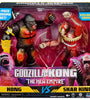 Godzilla x Kong: The New Empire 2 Pack Kong vs Skar King 12019