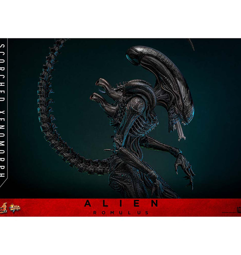 Scorched Xenomorph Sixth Scale Figure by Hot Toys